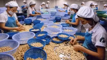 Vietnam, Israel hope to hit 3 billion USD in trade: forum
