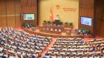 Vietnam should consider announcing the end of COVID-19: NA deputy