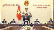 NA Standing Committee convenes 28th meeting