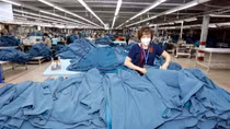 Number of newly-registered, reoperating firms hits record