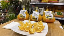 Vietnam's Cao Phong orange hits UK shelves