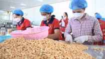 Firms urged to carefully study market, partners when exporting to Israel