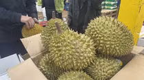 Vietnamese durian proves popular among UK market