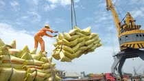 Vietnam eyes 30 billion USD in food, food stuff exports annually