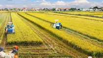 New mindset for Vietnam’s agriculture economy