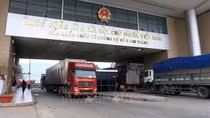 Border trade up in Lao Cai province