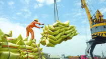 Vietnam listed among top 11 exporting countries to Singapore