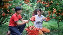 Vietnam promotes exports through e-commerce