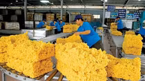 Vietnam emerges as major supplier of rubber to EU
