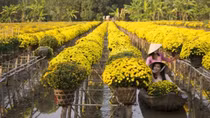 Three local destinations among six coolest towns along Mekong river