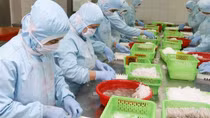 Seafood exports to UK record double-digit growth