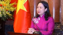 Vietnam, Mozambique see great potential for cooperation: Ambassador