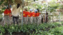 Vietnamese women contribute to national development, global peace
