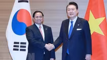 Vietnamese PM meets RoK President