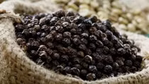 Pepper exports likely to reach US$2 billion by 2025