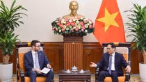 Vietnam to expand cooperation in areas of UK’s strength