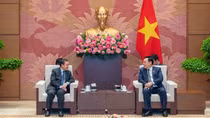 Vietnam ready to support Lao in successfully organizing CLV Parliamentary Summit