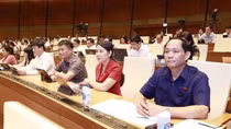 Draft revised Law on Bidding under scrutiny