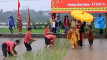 Festival commemorates Hung Kings’ teaching of rice cultivation
