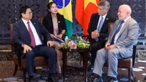 Vietnamese cabinet leader meets with Presidents of Brazil, Ukraine