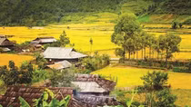 Financial aid for ethnic minority housing and land reclamation
