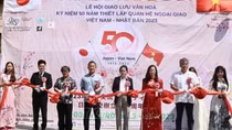 First Vietnam-Japan cultural exchange festival held in Okinawa