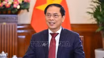 Foreign ministry sets economic diplomacy focuses for 2023