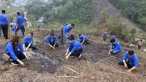 2023 International Youth Day: Training youths in green skills