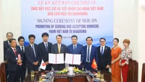Vietnam, Japan step up labour, employment cooperation