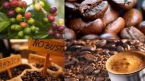 Coffee exports to Indonesia, Russia, and Algeria see triple-digit growth