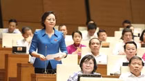 Lawmakers look into socio-economic affairs