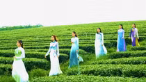"Fashion Tour" kicked off to promote Vietnamese culture