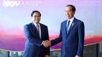 Indonesia, Vietnam aspire to further promote strategic partnership