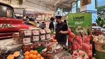 Forum connects enterprises in five Southeast Asian countries