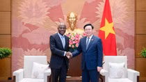 ILO regarded as important, trustworthy partner of Vietnam