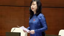 Vietnam to consider downgrading COVID-19 to flu-like status