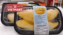 Vietnamese durian becomes a "hot" product in Japan
