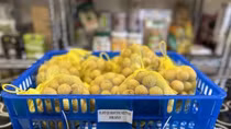 Quality key for Vietnamese longan to Japanese market: expert