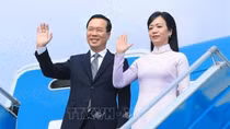 President's visit - highlight of Vietnam-Japan relations