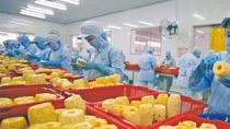 Vietnam's fruit and vegetable exports hit record high