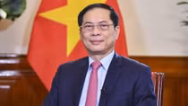 Further efforts planned to promote Vietnamese bamboo diplomacy: FM