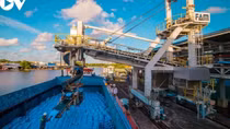 Vietnam racks up trade surplus of US$16.25 billion by mid-August