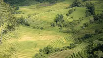Tranquil golden season returns to Bat Xat