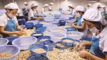US is largest export market for Vietnamese goods over four months
