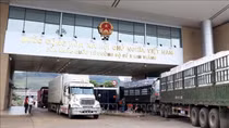 MoFA's deputy spokeswoman: Vietnam-China trade facilitated post COVID-19