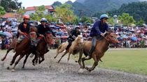 Lao Cai promotes Bac Ha into unique tourism area
