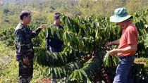 Poverty alleviation undertaken in southern ethnic minority areas