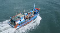 EC acknowledges Vietnam’s efforts in IUU combat: ministry