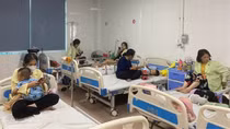 Dengue fever cases see sharp rise in Hanoi