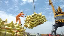 Vietnam, Indonesia aim to raise bilateral trade